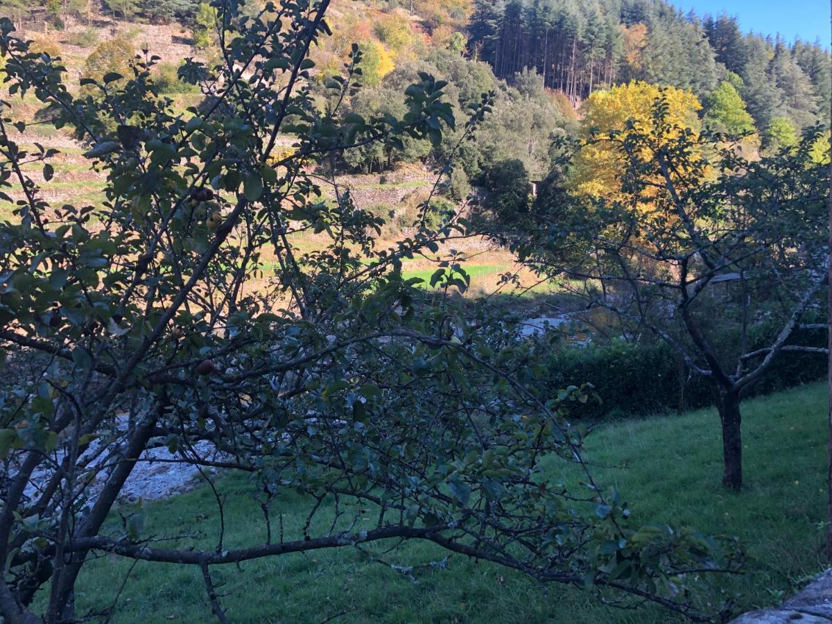 Le Moulin De Bouzigue Bed & Breakfast Valleraugue Luaran gambar
